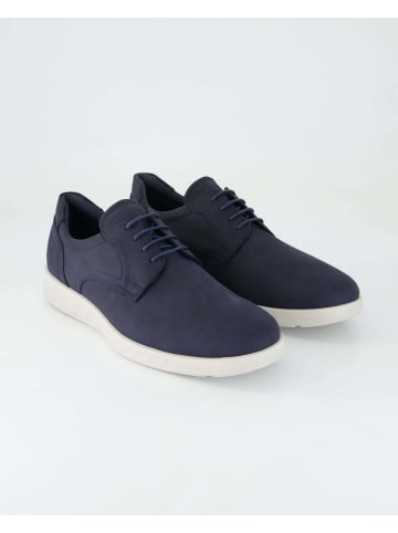 Ecco Sportliche Schnürschuhe in Blau
