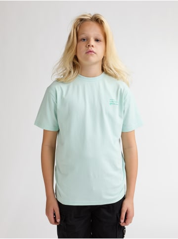 Petrol Industries T-Shirt mit Rückenprint Zorro in Grün