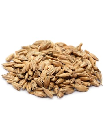 DoYourFitness Dinkelspelz Nachfüllbeutel 5kg  gelb