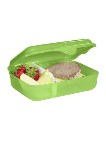 Step by Step Brotzeitbox, mit Klickverschluss in Dino Targo