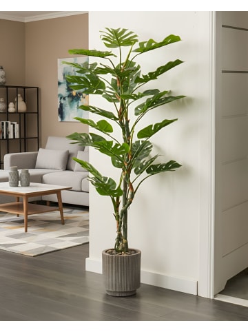 Beliani Kunstpflanze MONSTERA in Grün/Schwarz - (W) 90 x (H) 155 x (L) 90 cm