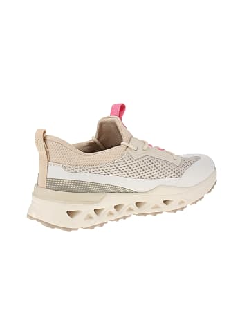 SALAMANDER Sneaker low F31-ARR60-6969 in Beige