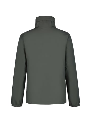 Icepeak BROCTON in Oliv102