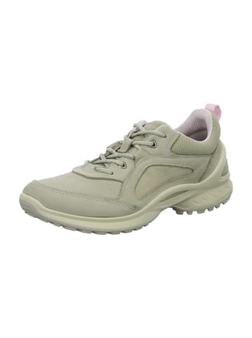 Ecco Wander- & Bergschuhe in Grau