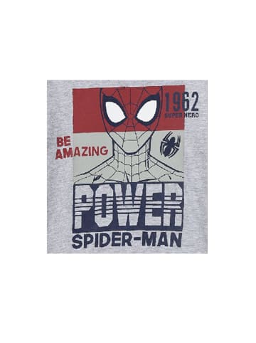 Spiderman Langarmshirt Longsleeve in Grau
