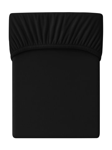 Cats Collection Spannbetttuch Feinbiber in schwarz