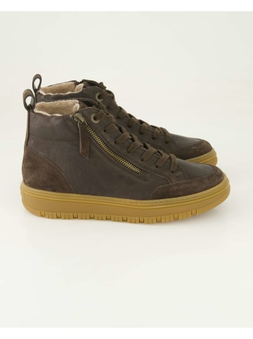 Paul Green Klassische Stiefeletten in Braun