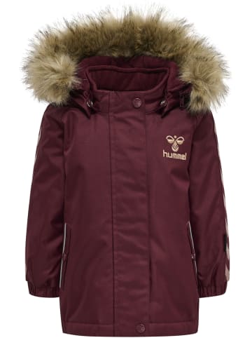 Hummel Hummel Jacke Hmlcanyon Jungen Atmungsaktiv Wasserabweisend Und Windabweisend in WINDSOR WINE