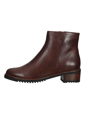 Everybody Stiefelette in Braun