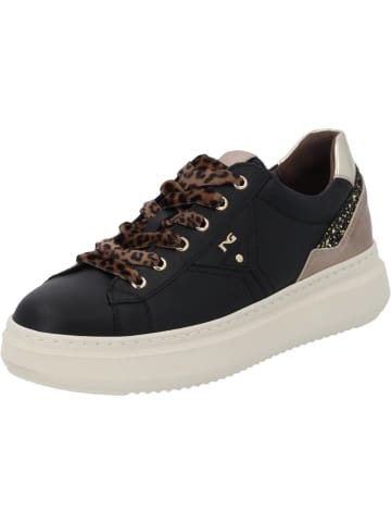 Nero Giardini Schnürschuhe in Schwarz