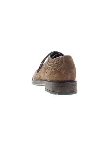 Josef Seibel Halbschuhe  in Braun