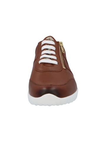 Solidus Sneaker Low in braun