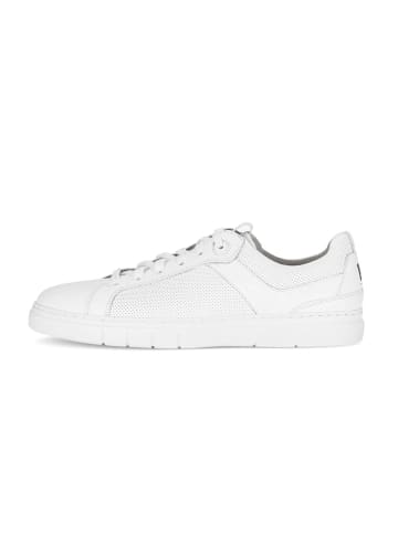 Pius Gabor Sneaker low in weiß