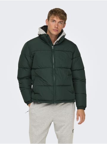 ONLY & SONS Daunenjacke in Darkest Spruce 1