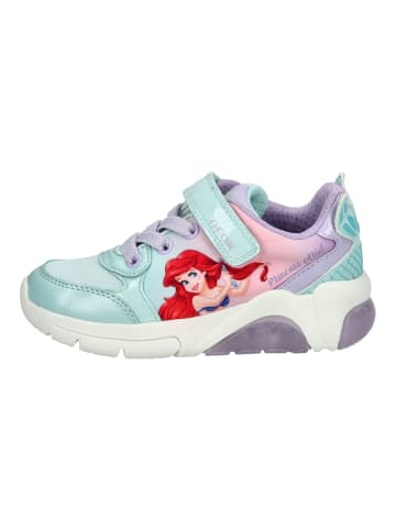 Geox Sneaker in Blau/Multi