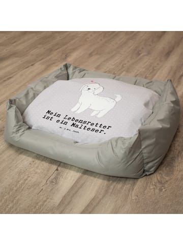Mr. & Mrs. Panda Hundesofa Malteser Lebensretter mit Spruch in Grau Pastell