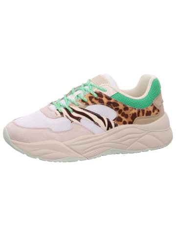 Scotch & Soda Sneaker Celest in Mehrfarbig
