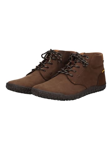 Camel Active Halbschuhe in Cafe