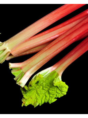 Yodeyma Eau de Parfum Linet 100 ml