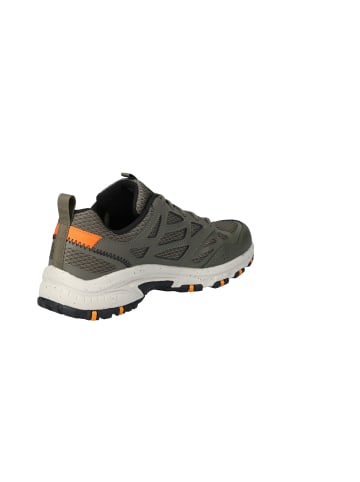 Skechers Sneaker Skechers Hillcrest in olive