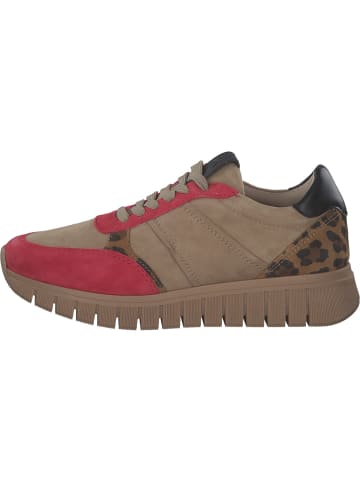 Tamaris Sneakers Low in TAUPE COMB