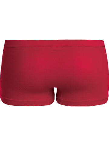 Con-ta Baumwolle, Feinripp Pants 2er-Pack in rot