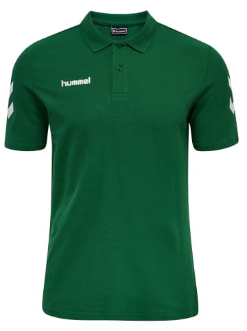 Hummel Hummel Polo Hmlgo Multisport Herren in EVERGREEN