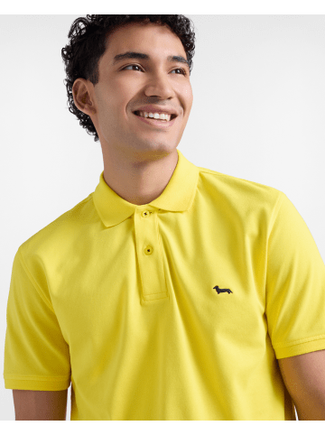 HARMONT & BLAINE Rollkragenpullover 10280705327446 Gelb