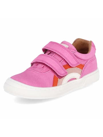 bisgaard Low Sneaker RAINBOW in Pink