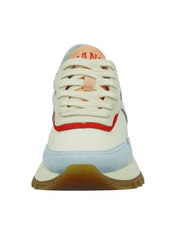 Gant Sneaker Low in Beige