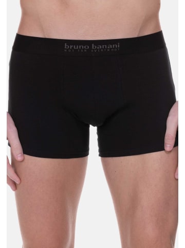 Bruno Banani Retro Short / Pant Energy in Schwarz / Navy / Grau Melange