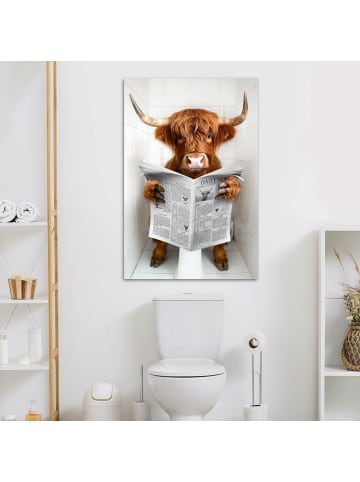 MuchoWow Leinwand bilder Zeitung Schottisches Hochlandrind (BxH)