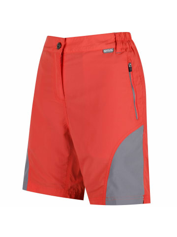 Regatta kurze Wanderhose Sungari in NeonPch/RkGr