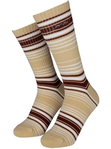 Santa Cruz Socke "Classic Strip Stripe Sock" in Multicolor