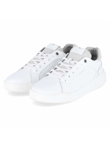 Bullboxer Low Sneaker in weiß