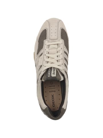 Geox Sneaker low U Snake Original A in creme