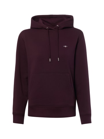 Gant Sweatshirt in aubergine