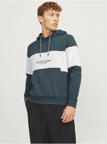 Jack & Jones Kapuzenpullover in Magical Forest