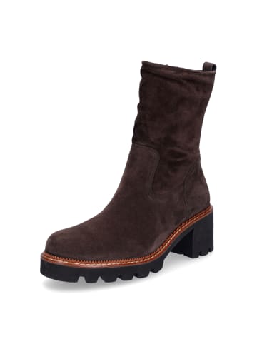 Paul Green Stiefelette in Dunkelbraun