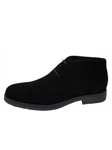 Geox Schnürstiefel U Claudio in Braun