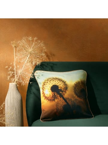 Erwin Müller Baumwolle Kissenhülle in Pusteblume