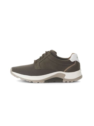 rollingsoft Sneaker low in grün
