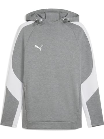 Puma Hoodie "TeamEVOSTRIPE Hoody" in Grau