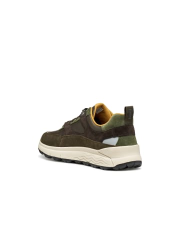 Geox Sneaker in braun