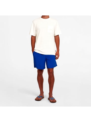 O`Neill Vert 16" Swimshorts in Hellblau