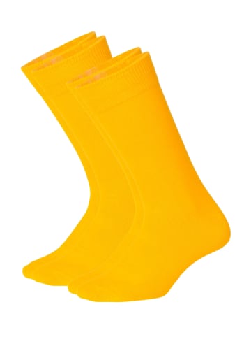 DillySocks Socken D-Compose 2er Set in yellow