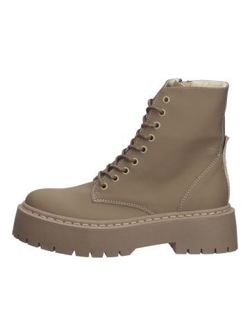 Steve Madden Stiefelette in Dunkelbeige