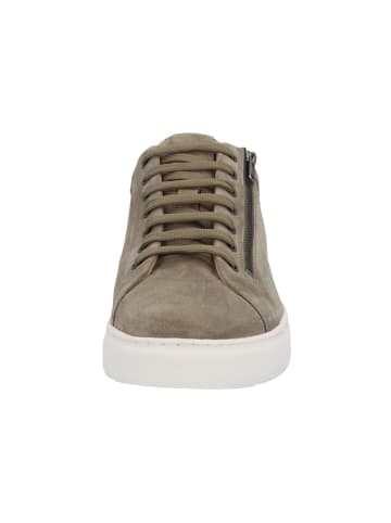 Solidus Sneaker Low in braun
