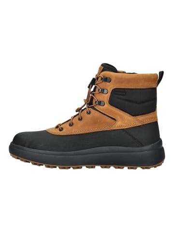 Geox Stiefelette in Schwarz/Braun