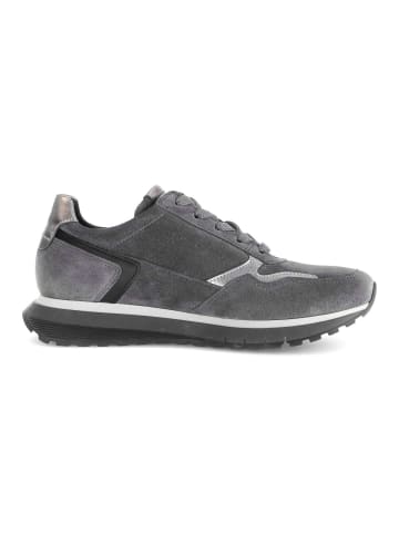 Gabor Comfort Sneaker low in grau